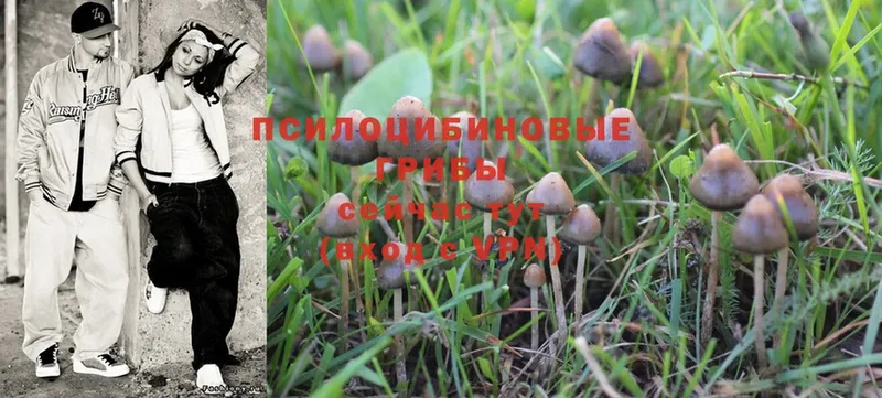 МЕГА сайт  купить наркотик  Ленинск-Кузнецкий  Галлюциногенные грибы Magic Shrooms 